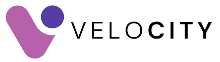 velocity logo